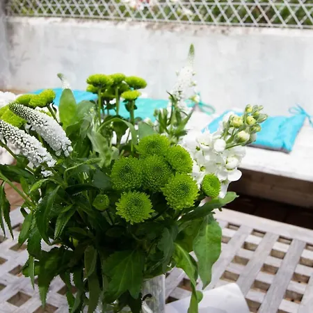 Les Aigrettes - Spacieux - Terrasse Et Garage